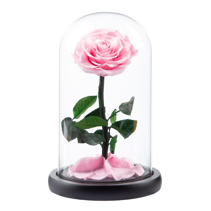 Eternal Flower Rose Finished Glass Cover Gift Box Little Prince Mother's Day Gift Eternal Flower