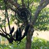 Handmade Feather Dreamcatcher Artistic And Stylish Wall Decor For Bedroom Or Living Room