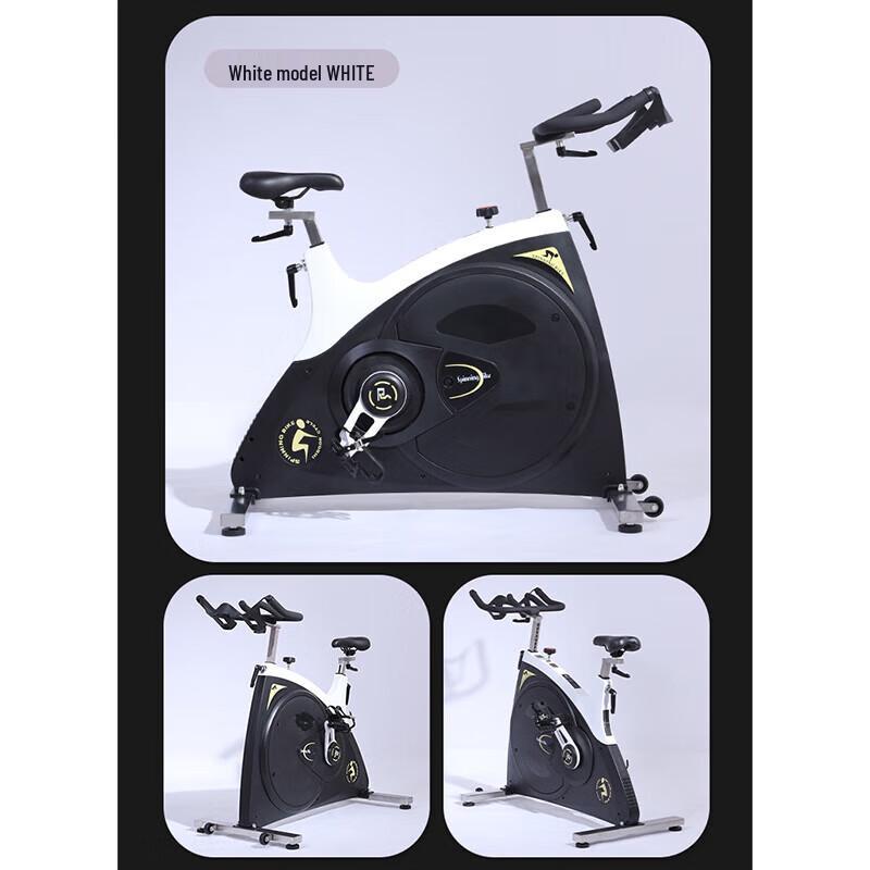 Xinzhen Dynamic Exercise Bike