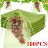 10-100PCS Grape Fruit Protective Bag Plant Growth Bag Garden Bird Proof Net Vegetable Strawberry Insect Proof Bag Garden Tool