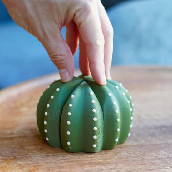 Cactus Coaster Set 3D Printed Cactus Coaster with Flowerpot Holder Funny Desktop Coaster for Plant Lovers Gift Home Office Bar Decoration