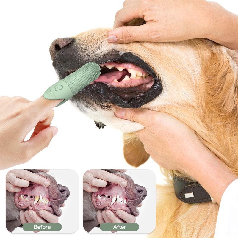 Pet Toothbrush For Dogs And Cats Oral Care Dental Cleaning Brush Prevent Tartar Build-Up Essential Pet Supplies