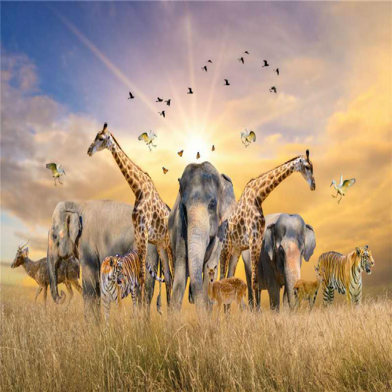 500 Pieces Jigsaw Puzzle Various Landscape Patterns Jigsaw Puzzle Educational Toy For Kids Children 'S Games Christmas Gift
