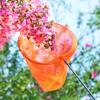 Lightweight Dragonfly Extendable Telescopic Butterfly Net Insect Catch Mesh Kids Fishing Net