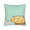 K-Kakaos F-Friends Choonsiks Pillow Cover  Soft Cushion Cover Novelty Pillow Case For Office Car Home Decor