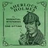 Sherlock Holmes by Jennifer Editorial Director Kasius Hardback Book 9780762448692