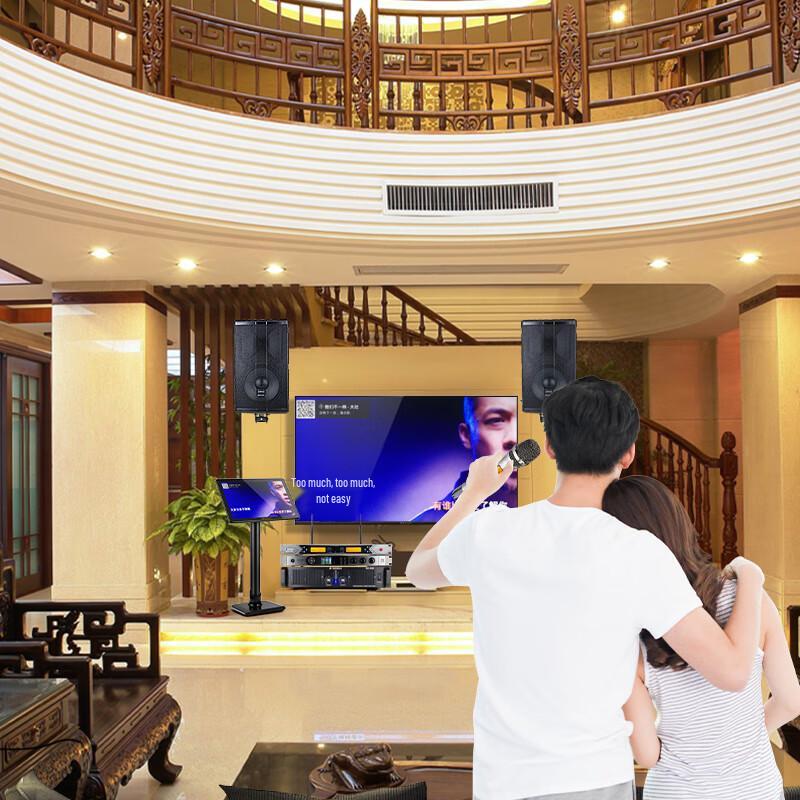 Songchuan SP101 Home KTV Professional Audio System CN plug (adapter included)