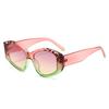 New Fashion Cat Eye Sunglasses Women Multi-Color Gradient Vintage Shades Brand  Luxury Sun Glasses Uv400 Eyewear