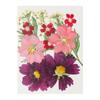 Jewelry Making Photo Props Beauty Decal Resin Mold Filling Flower Resin Filler Dried Flowers