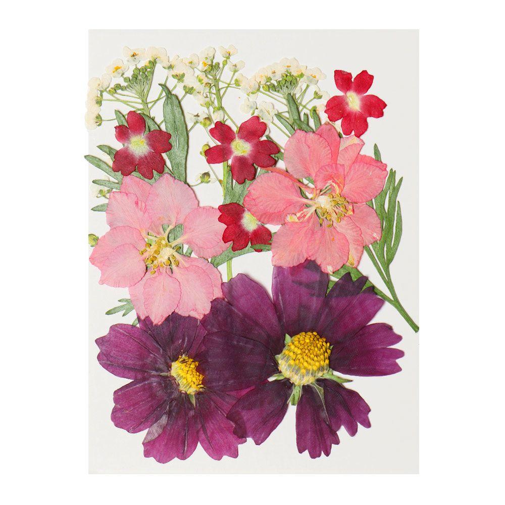 Jewelry Making Photo Props Beauty Decal Resin Mold Filling Flower Resin Filler Dried Flowers