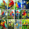 5D DIY алмазная живопись животное набор для вышивки крестом полная алмазная вышивка попугай искусство горный хрусталь картина мозаика украшение дома