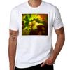 Luminance Tshirt T Shirt Unisex Cotton Tshirt