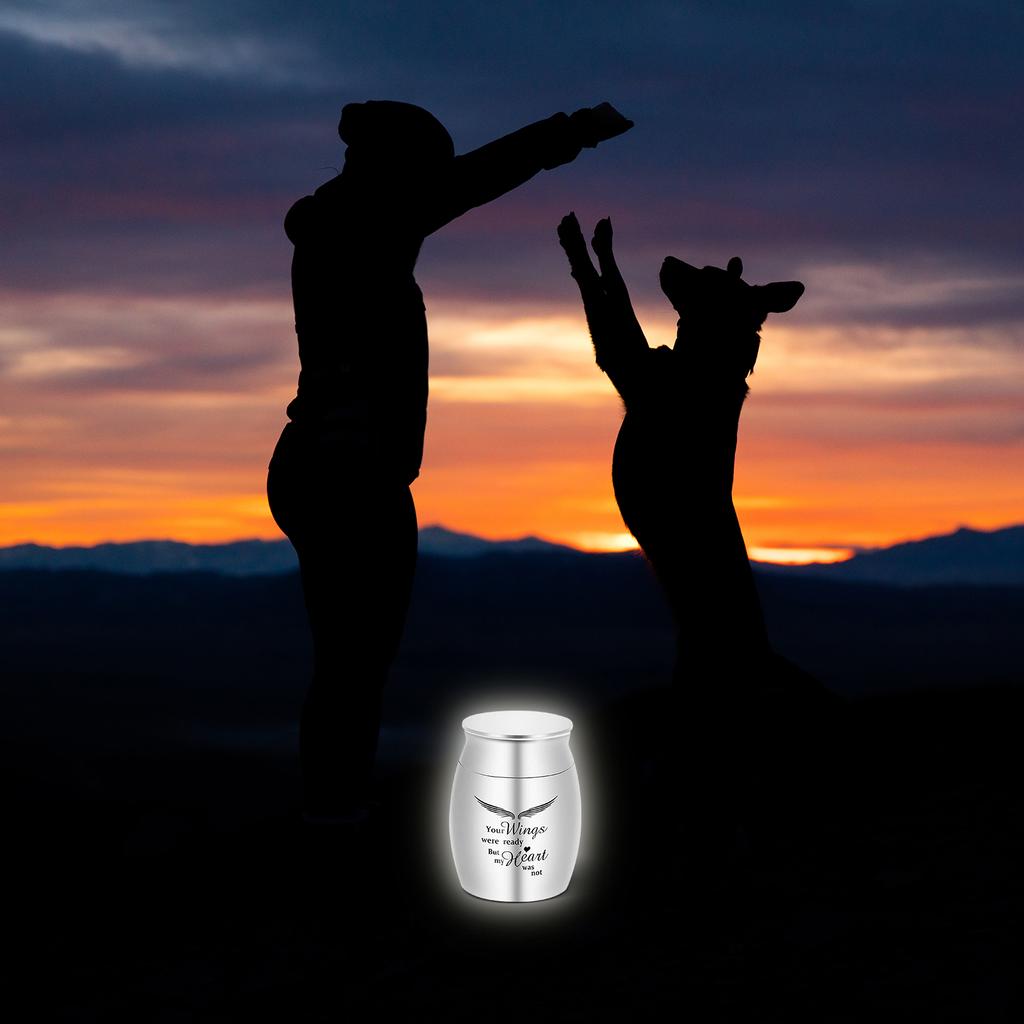 Small Cremation Urn for Pet Ashes Pet Keepsake Urn Stainless Steel Memorial Keepsake Urns for Dogs Cats Ashes Holder