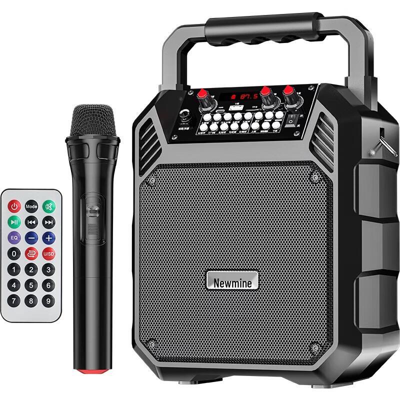 Портативный Bluetooth-динамик KTV Newmine K503, штепсель CN (адаптер в комплекте) (Китайская версия)