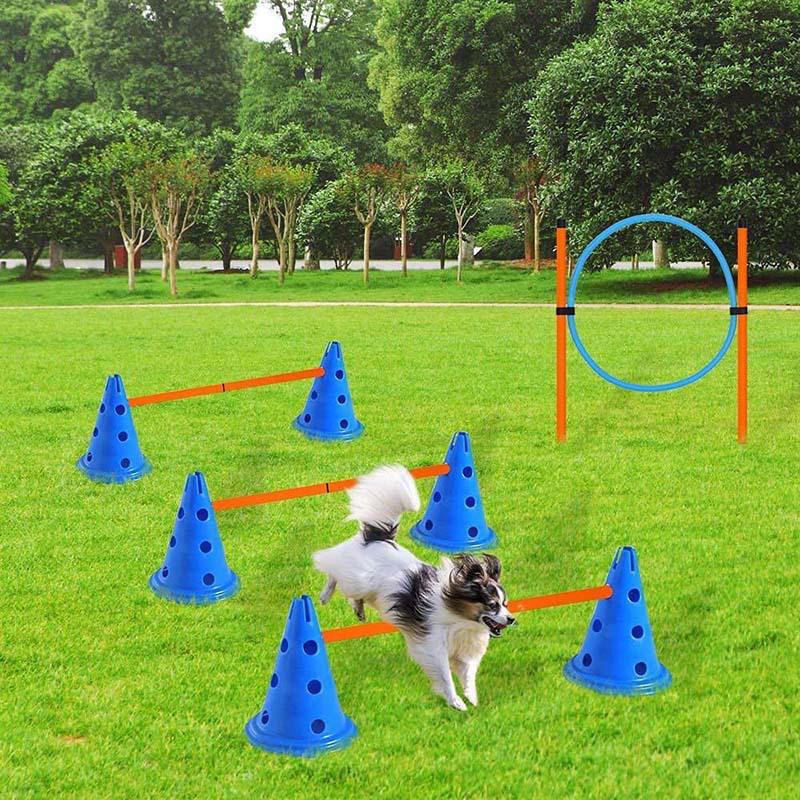 Dog Agility Training Set: Jump Ring, Bar, and Weaving Poles