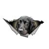 Personality Car Stickers 3D Dog Animal Pet Decal Waterproof Eye Catching Broken Window Pet Decal