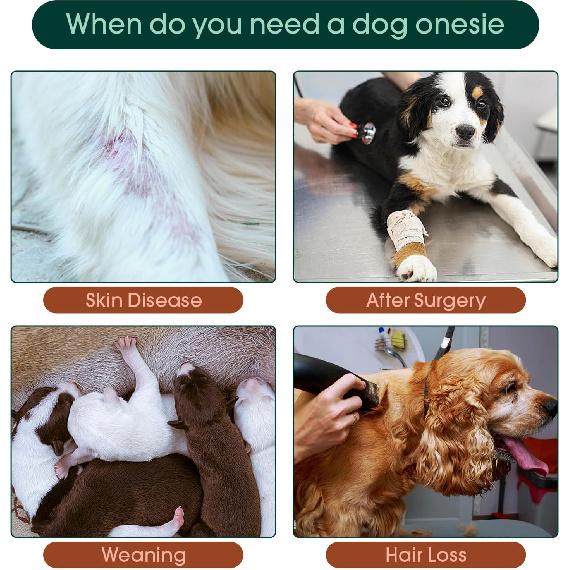 Kuoser Dog Surgery Suit Female Spay, Soft Dog Pajamas, Long Sleeve Puppy Recovery Suit, Pet Clothes Onesie for Surgery, Doggie Neuter Spay Bodysuit