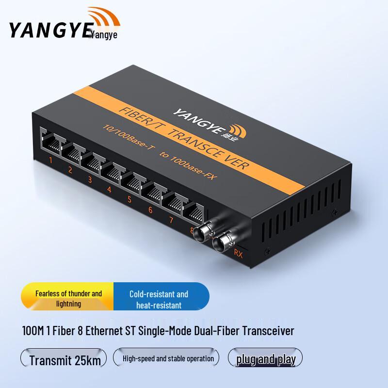 YANGYE 100Mbps Single-Mode Dual Fiber Media Converter
