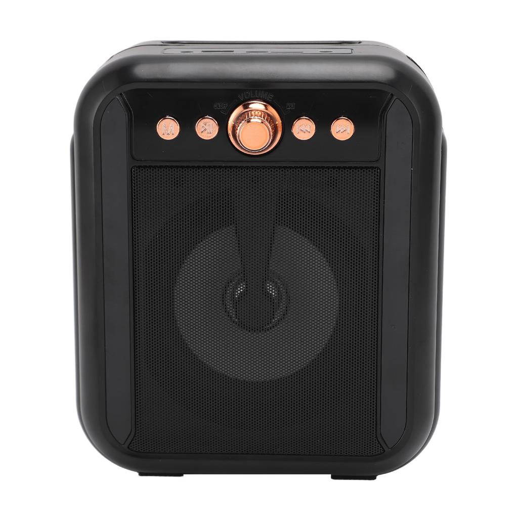Karaoke Machine Clear Sound 3000mAh Battery Lower Noise Lightweight Bluetooth Karaoke Speaker
