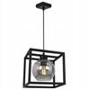 HANGING LAMP CAGE ELEGANT GLASS BALL