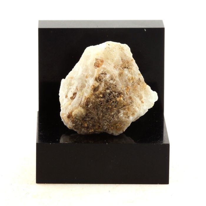 Clintonite 36.0 carats