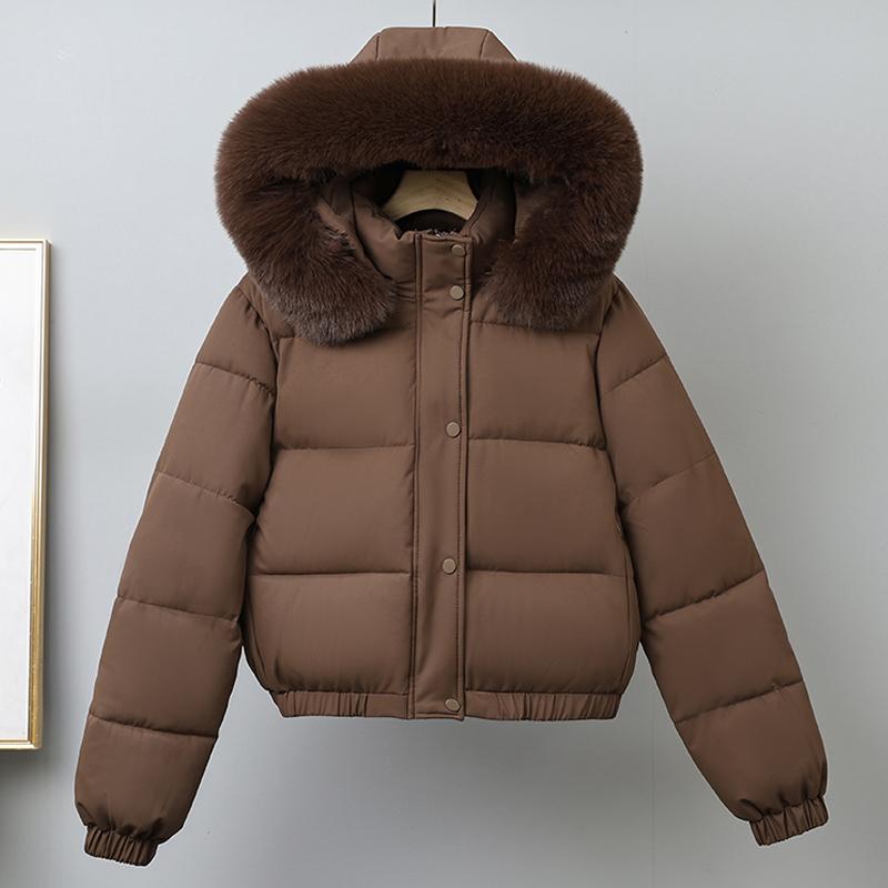 Модное зимнее пальто женское короткое парки с капюшоном воротник из искусственного меха свободное толстое теплое женские куртки