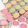 Halloween Cookie Molds 3D Pumpkin Shape Plastic Cutters Stamps Set For Professional Cookie Cakes And Sugar Art Creation