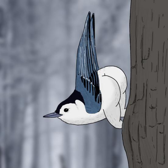 Настенный календарь на 2024 год с рисунком птицы, большой письменный планировщик, ежедневные мероприятия, забавный настенный календарь