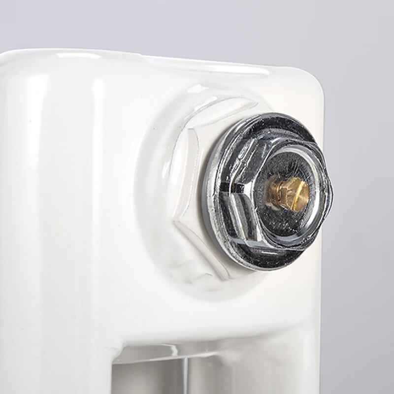 Tongshengda TS5025 Steel 2-Column Hydronic Radiator