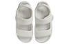 Nike Спокойный Песочный Светлая Кость Женский FJ6043-002