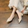Женские туфли 2024 года, весна, новые, неглубокие, на среднем толстом каблуке, нежные, феи, женские туфли с острым носком, французские, одинарные