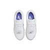 Nike Женские кроссовки Air Max 90 White Metallic Silver Blue-Joy FV0949-100