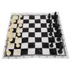 Portable Plastic International Chess Medieval Entertainment Board Game Set Black & White