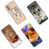 Милый Прекрасный Питомец Хомяк Чехол для Телефона Для Samsung A13 A22 A24 A32 A23 A25 A34 A35 A52S A53 A54 A55 A73 A12 A14 A15 A31 A33 A50 A51