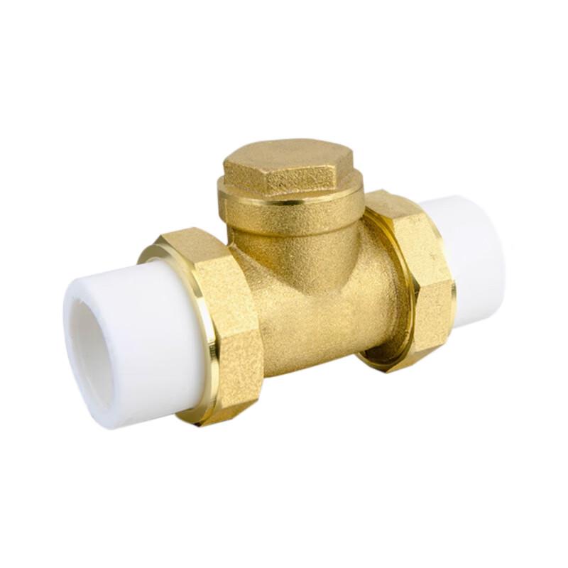 PPR Brass Hot-Melt Double Union Check Valve