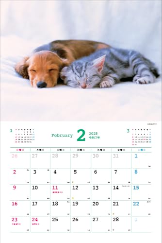 Календарь Накаёши Собаки/Ньян на 2025 год Каждый день – время отдыха > ([Календарь])