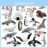 Arctic Animal Polar Bear Penguin Figurine Collection For Home Decor And Educational Use In Pvc Material