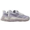 Reebok Кроссовки унисекс DMX Trail GORE-TEX Grey Stone Chalk 100200884