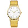 Luminous Ladies Watch Electroplated Silicone Strap Analog Quartz Fashion Temperament Ladies Watch