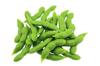 Speed Mao Realistic Edamame Food Sample Food Model Set of 25 Look-alike