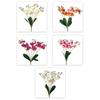 Realistic Simulation Orchid Flowers 5 Heads Fake Flower Artificial Orchid  Outdoor Garden Decor
