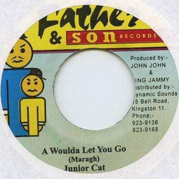 7-дюймовая пластинка JUNIOR CAT - A Woulda Let You Go none Father & Son 1994 Ямайка Регги, Ска и Даб