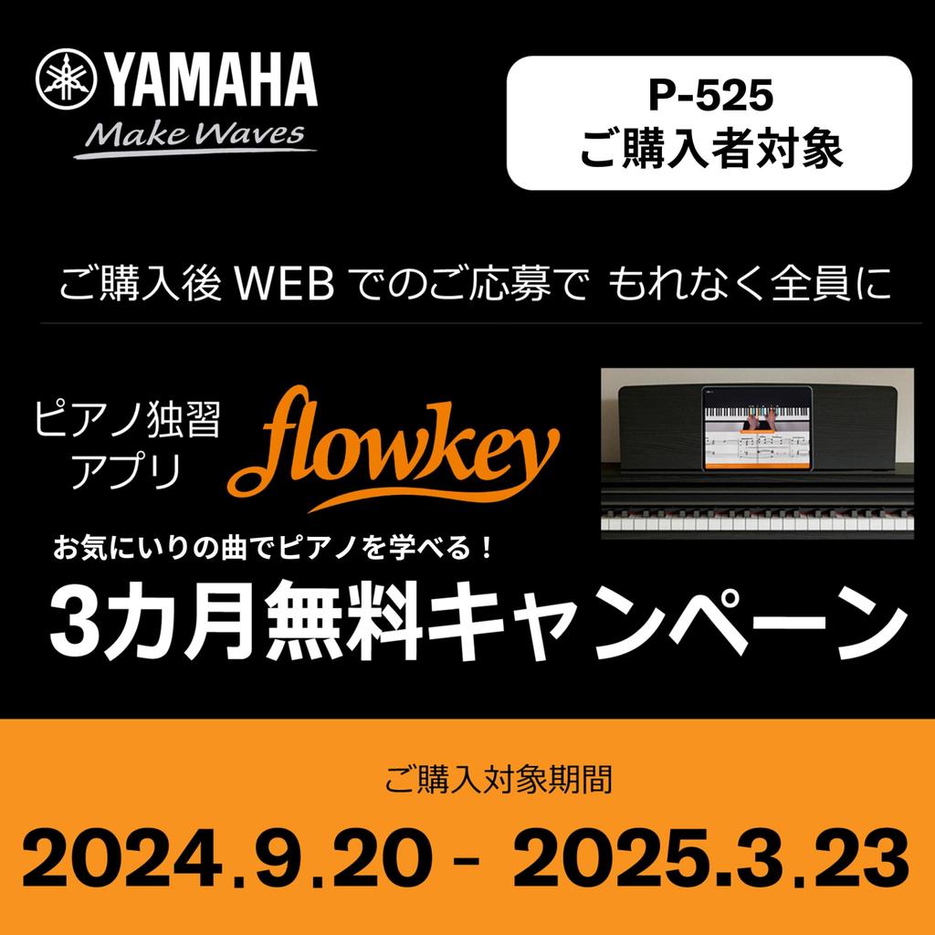YAMAHA Электронное пианино P-серии 88 клавиш Деревянная клавиатура Ощущение аутентичного прикосновения Компактное Портативное Приложение Черный P-525B