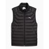 Packlite Down Vest 69346101