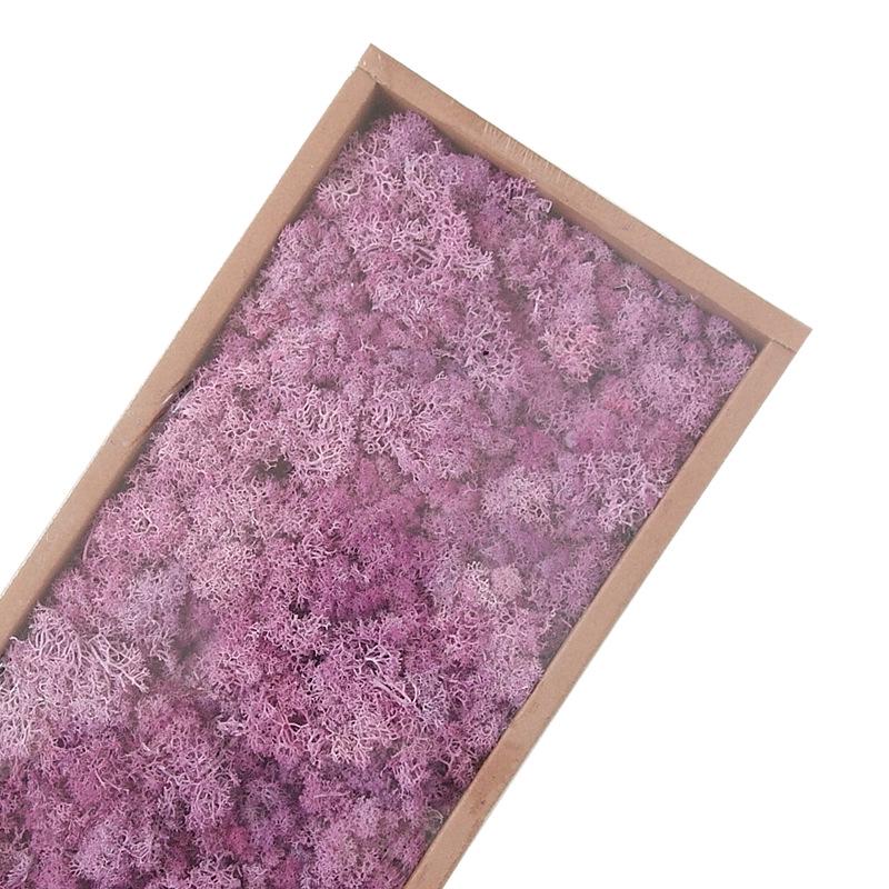 Preserved Flower & Moss Wall Decoration Kit: Flower Gift Box Materials