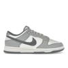Dunk Low SE Light Carbon Men Sneakers Grey White Platinum-Tint FJ4188-100