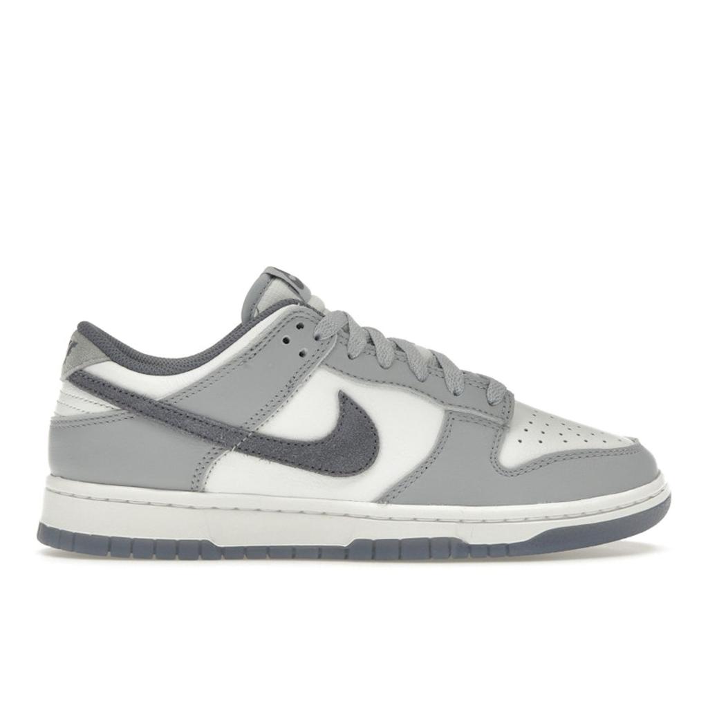 Nike Dunk Low SE Light Carbon Men Sneakers Grey White Platinum-Tint FJ4188-100