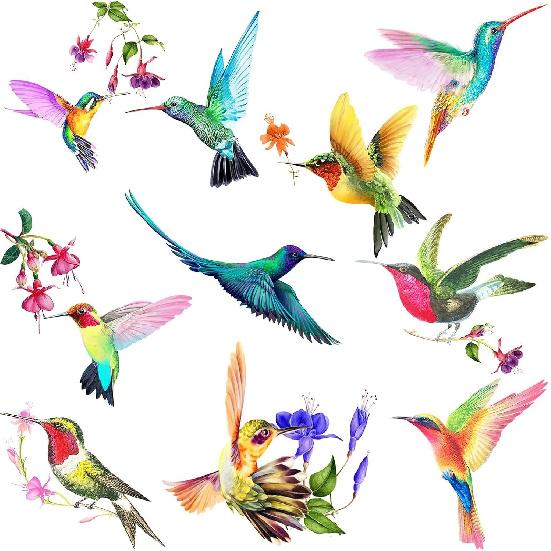 20 Pieces Large Size Hummingbird Window Hummingbird Decals for Windows Anti-Collision Window Clings Decals to Prevent Bird Strikes on Glass Non