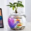 Transparent Small Clear Fish Tank Shatterproof Turtle Terrarium Turtle Aquarium  Office Decor
