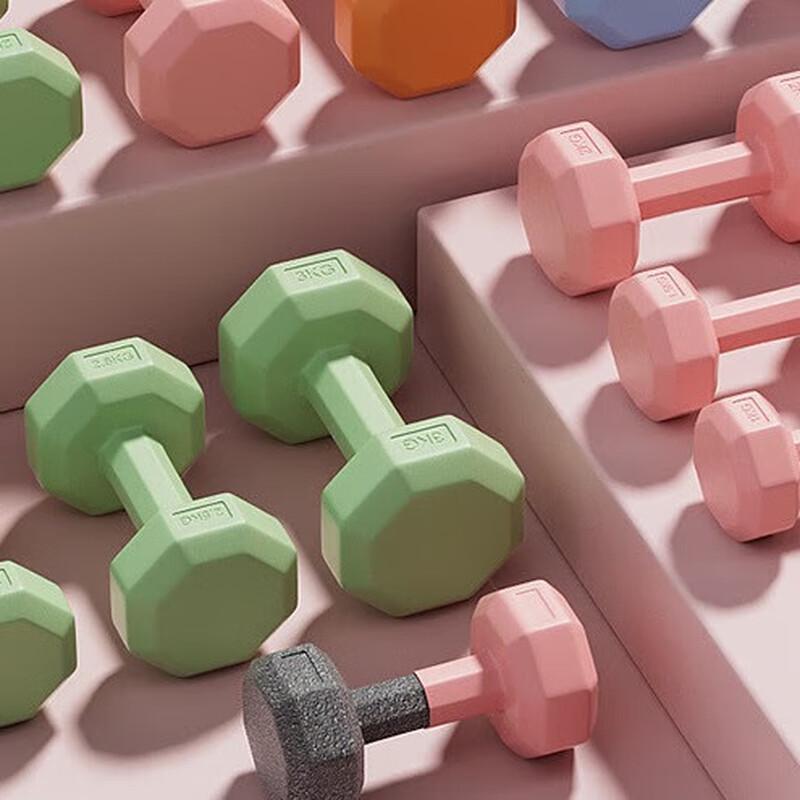 Long Zhan Home Fitness Dumbbell